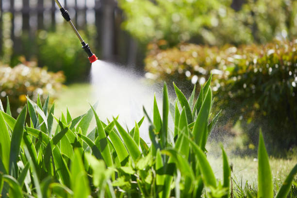 24/7 Emergency Fumigation Services experts in West Reading, PA