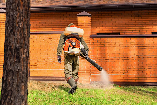 Trusted Termite Control service in West Reading, PA - Nex Pest Control
